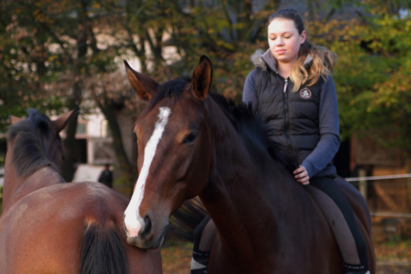 Galileo von Exclusiv - Maestro - Kostolany - Karon, Foto: Habert