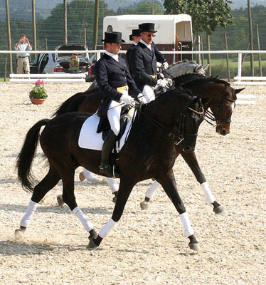 Trakehner Dressur-Quadrille - mit dem Kostolany Sohn Emron - Foto: privat