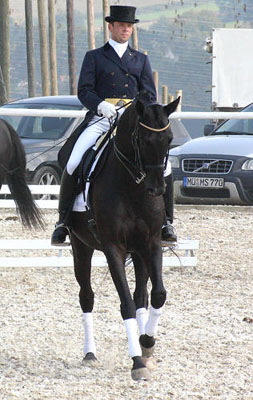 Trakehner Dressur-Quadrille - mit dem Kostolany Sohn Emron - Foto: privat