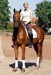 4-jhriger Trakehner Wallach von Buddenbrock - Mahon (im September 2007)