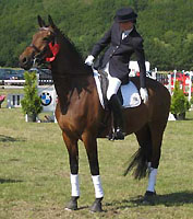 Trakehner Prmienstute v. Freudenfest - Guter Stern (im Mai 2009)