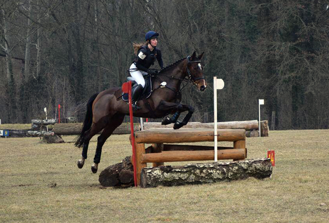 Galila von Exclusiv - Maestro, Prmienanwrterin des Trakehner Verbandes 2012, Foto: Beate Langels