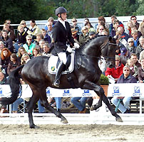 Elfado von Kostolany - Roncalli xx