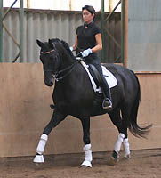 Emron v. Kostolany - Guter Stern