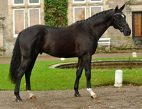 Jahrgang 2009