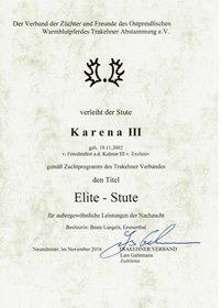 Elitestute Karena v. Freudenfest