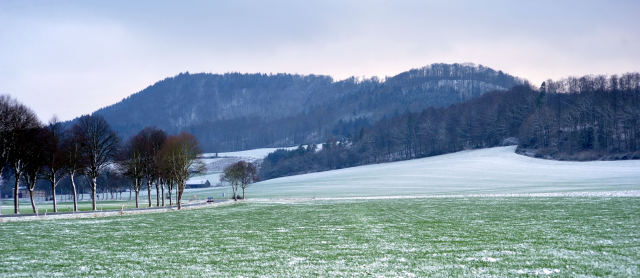 Winter in Hmelschenburg - Januar 2016  -
Trakehner Gestt Hmelschenburg