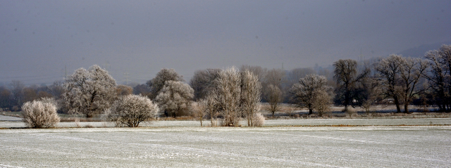 Winter in Hämelschenburg - Januar 2016 -
Trakehner Gestüt Hämelschenburg