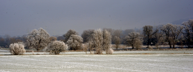 Winter in Hmelschenburg - Januar 2016  -
Trakehner Gestt Hmelschenburg