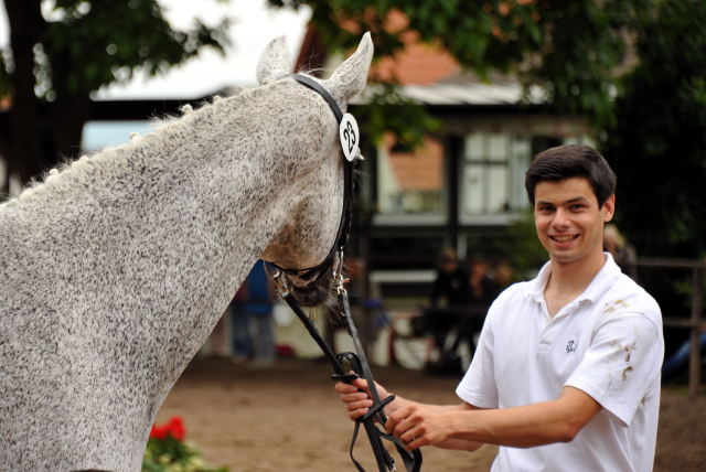 Trakehner Elitestute Heavenly v. Artistic Rock, Foto: Beate Langels