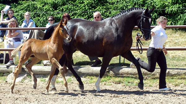 Beide aus TG-Besamung: Thirica by Enrico Caruso with her colt by Leonidas