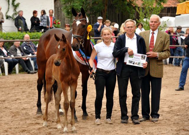 Trakehner Hengstfohlen von Saint Cyr u.d. Hanna v. Summertime u.d. Elitestute Helena v. Matador