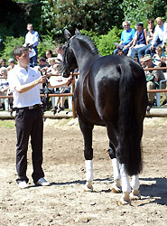 Kostolany and Philipp