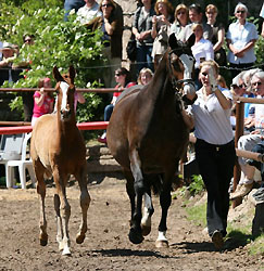 Tavolara, Tarvisio and Amelie Stever in Aktion