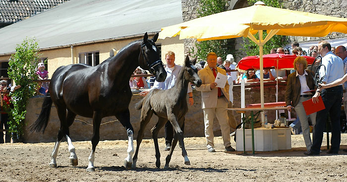 Ballerina by Kostolany with her colt by Shavalou