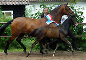 Fohlenschau in Hmelschenburg 30. Mai 2010
