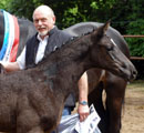 Fohlenschau in Hmelschenburg 30. Mai 2010