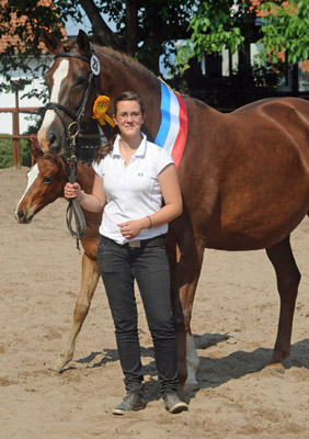 Luisa und Klassic Blue - Trakehner Stutfohlen von Singolo u.d. Prmienstute Klassic v. Freudenfest - Foto: Beate Langels - Trakehner Gestt Hmelschenburg
