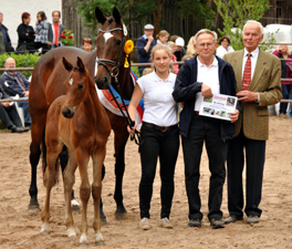 Trakehner Fohlenschau in Hmelschenburg 2015