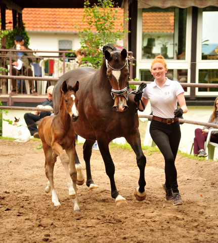 Tacyra mit Stutfohlen von Alter Fritz - Foto: Beate Langels