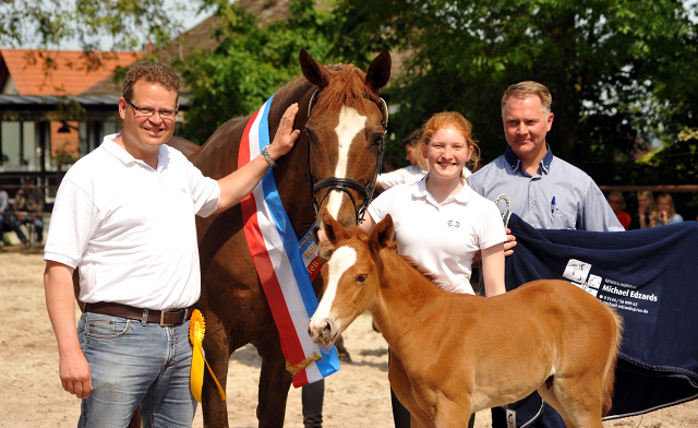 6 Tage alt: Trakehner Hengstfohlen von High Motion x Buddenbrock - Foto: Beate Langels