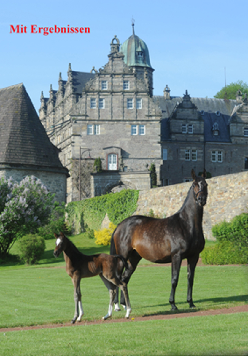 Programm und Fotos der 62. Trakehner Fohlenschau in Hmelschenburg