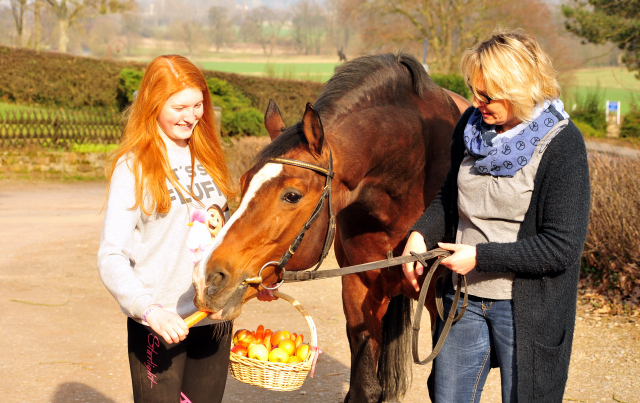 20. Geburtstag - Freudenfest v. Tolstoi - Trakehner Gestt Hmelschenburg - Foto: Beate Langels