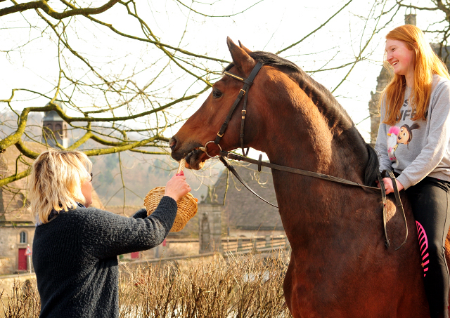 20. Geburtstag - Freudenfest v. Tolstoi - Trakehner Gestt Hmelschenburg - Foto: Beate Langels