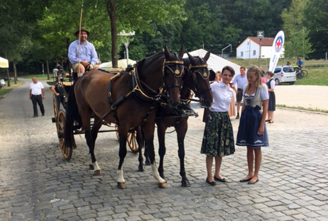 Der 4jhrige Grand Cyr   im Trakehner Gestt Hmelschenburg - Foto: privat