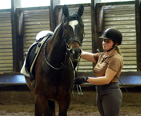 Fridolyn v. Freudenfest u.d. Beloved v. Kostolany - Foto: Beate Langels, Gestt Hmelschenburg