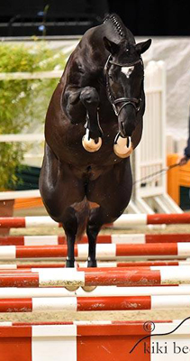 Guardiola von Saint Cyr