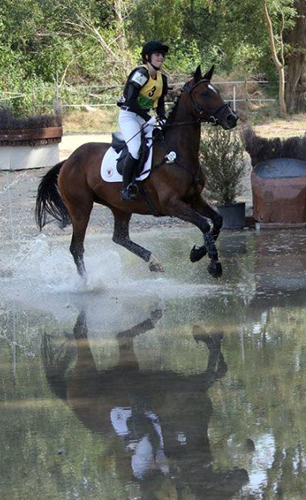 Galila von Exclusiv - Maestro, Prmienanwrterin des Trakehner Verbandes 2012, Foto: privat