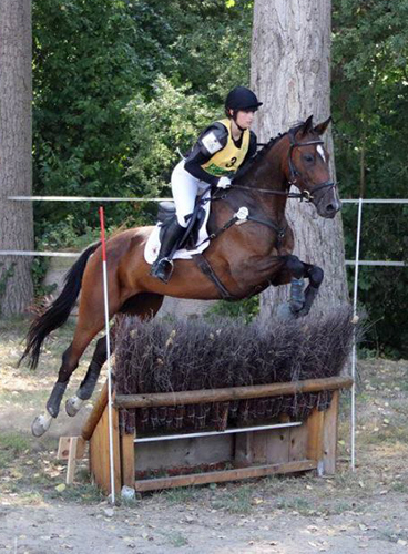 Galila von Exclusiv - Maestro, Prmienanwrterin des Trakehner Verbandes 2012, Foto: privat