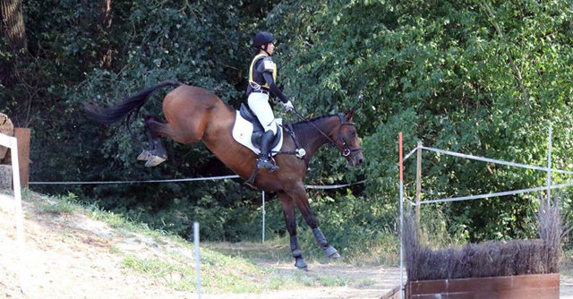 Galila von Exclusiv - Maestro, Prmienanwrterin des Trakehner Verbandes 2012, Foto: privat