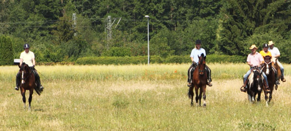 Galileo von Exclusiv u.d. Gwendolyn v. Maestro - Kostolany - Karon - Foto: privat