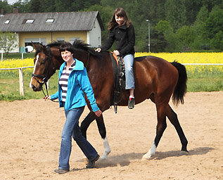 Galileo von Exclusiv u.d. Gwendolyn v. Maestro - Kostolany - Karon - Foto: privat