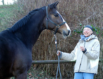 Gentle Giant by Alter Fritz out of St.Pr.St. Guendalina by Red Patrick xx, Trakehner Gestt Hmelschenburg Beate Langels