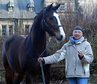 Gentle Giant von Alter Fritz u.d. Pr.St. Guendalina v. Red Patrick xx, Foto: Beate Langels Gestt Hmelschenburg