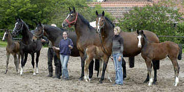 Gloriette v. Kostolany, Gwendolyn v. Maestro, St.Pr.St. Guendalina v. Red Patrick xx und Greta Garbo v. Alter Fritz