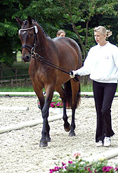 Prmie: Glorilou v. Shavalou u.d. ESt. Gloriette v. Kostolany