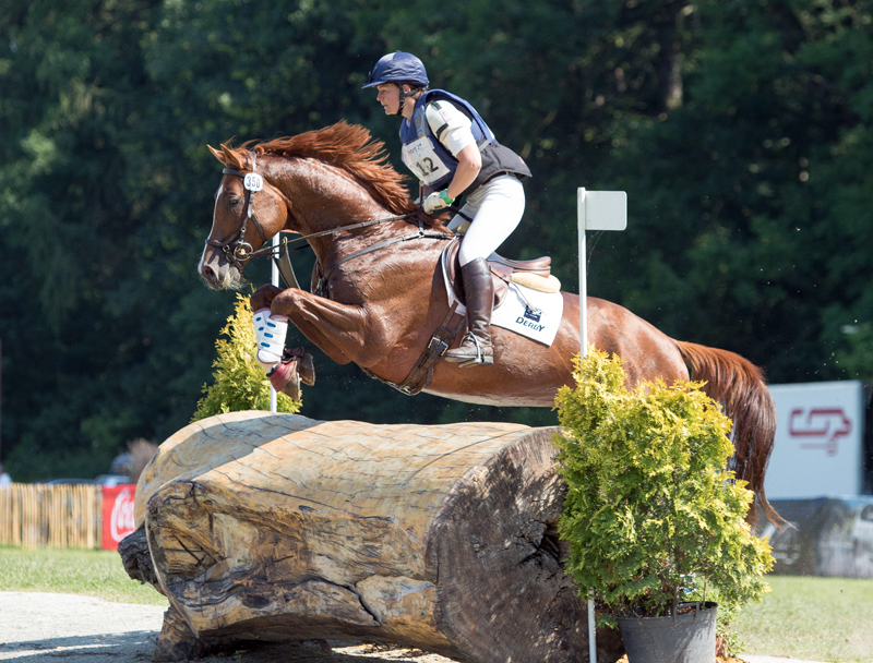 Trakehner Stallion Glcksruf by Dramatiker x Opernball - Trakehner Gestt Hmelschenburg - Foto: Thomas Koppers