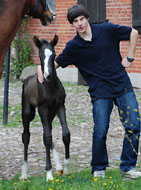 Rapphengst von Shavalou u.d. Gracia Patricia v. Alter Fritz