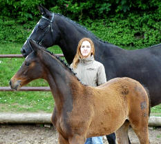 Trakehner Filly by Summertime out of Greta Garbo by Alter Fritz