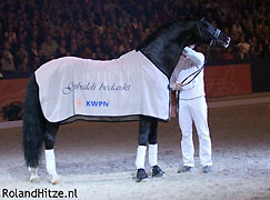 Gribaldi v. Kostolany - Ausgezeichnet in Hertogenbosch mit dem Titel Preferent