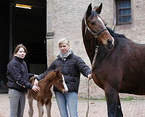 Hengstfohlen von Shavalou - mit Kira und Christina