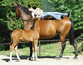 Gwendolyn v. Maestro - Kostolany