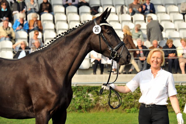 Pr.u.StPrSt. Sasuela v. Oliver Twist u.d. StPr.u. ESt. Shakira v. Biotop - Foto: Beate Langels, Trakehner Gestt Hmelschenburg