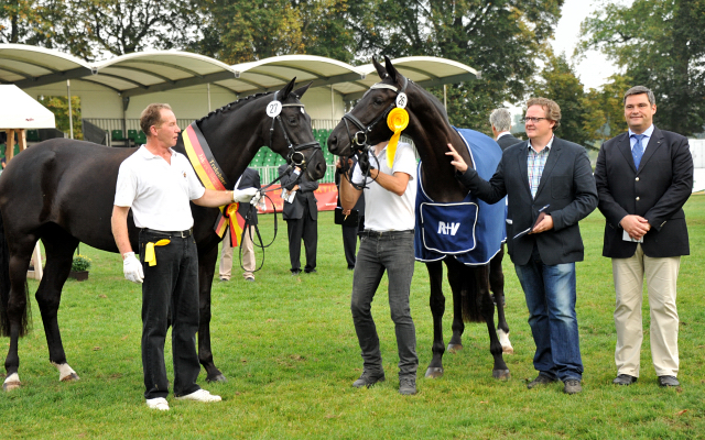 Pr.u. StPrSt. Emma Peel v. Kentucky - Summertime und Pr.u.StPrSt. Sasuela v. Oliver Twist - Biotop - Foto: Beate Langels, Trakehner Gestt Hmelschenburg