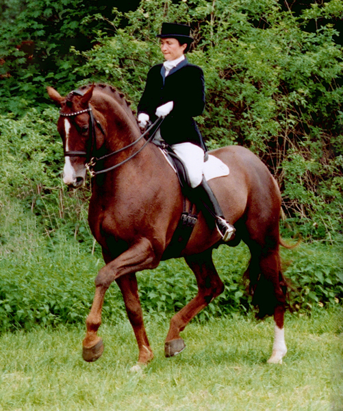 Herzruf  Foto: Beate Langels