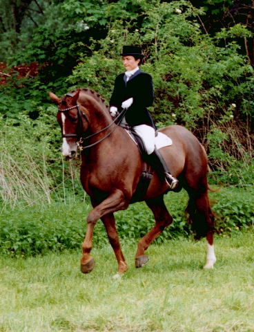 Herzruf  Foto: Beate Langels